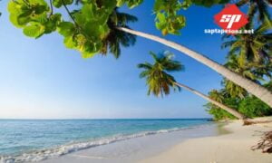 Karimunjawa